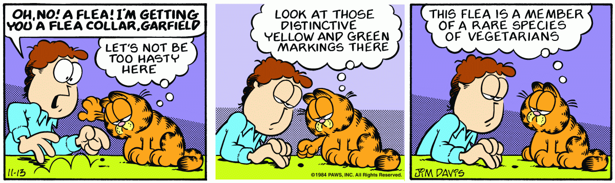 Garfield, November 13, 1984