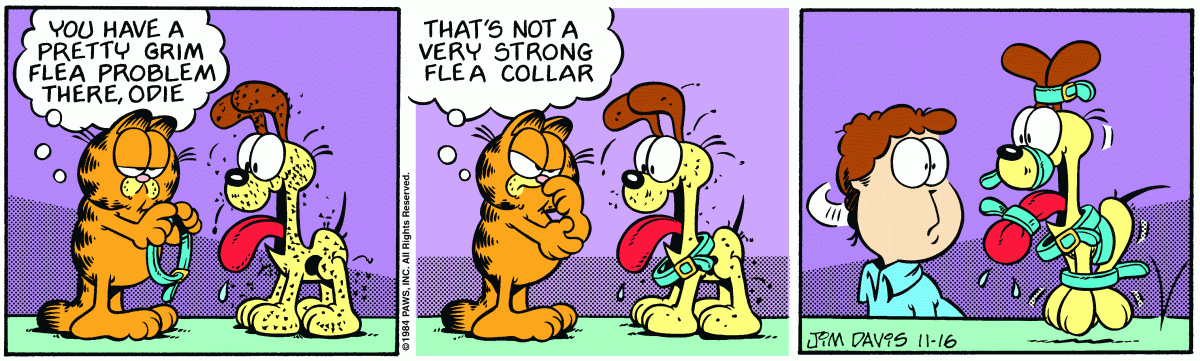 Garfield, November 16, 1984