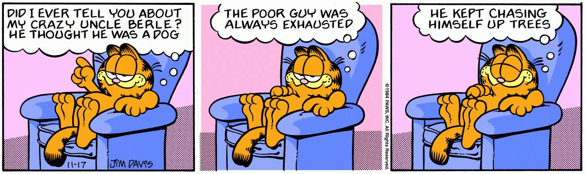 Garfield, November 17, 1984