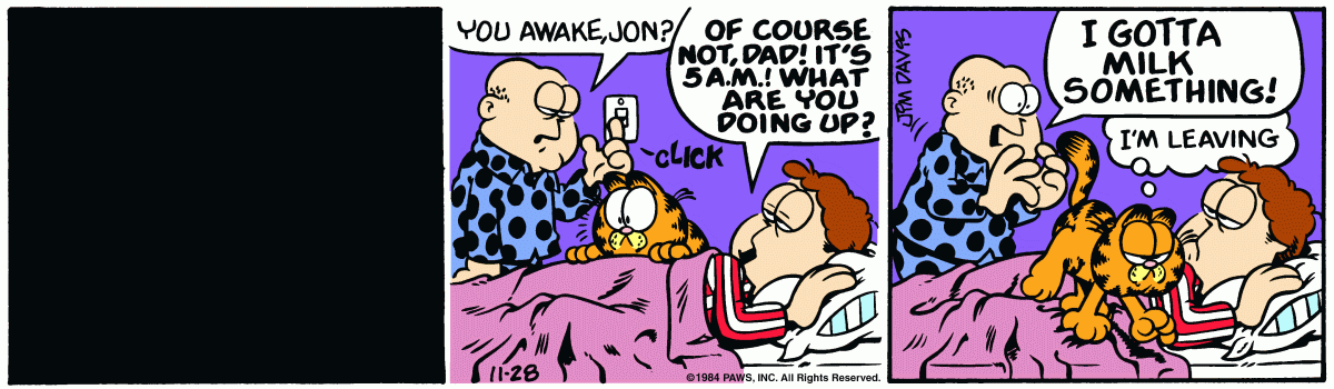 Garfield, November 28, 1984