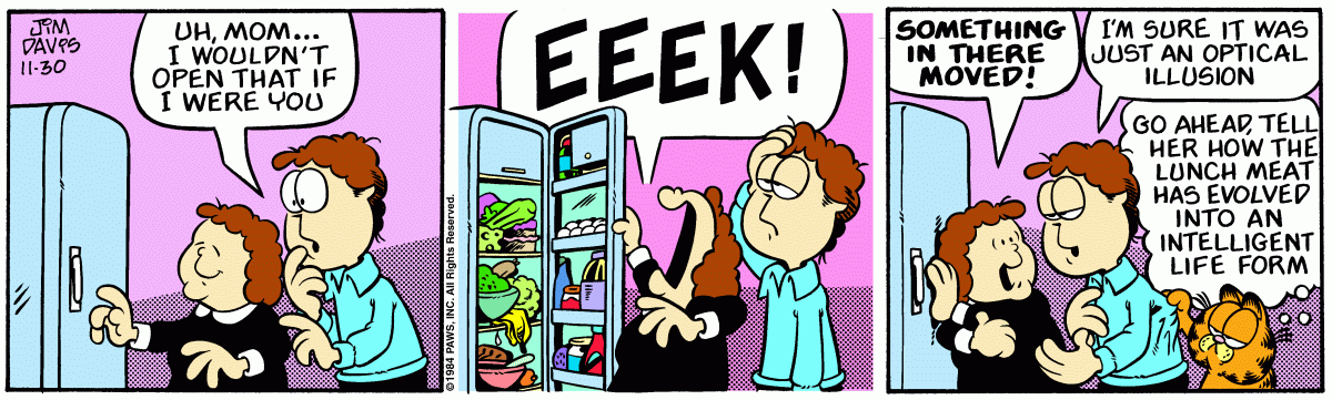 Garfield, November 30, 1984