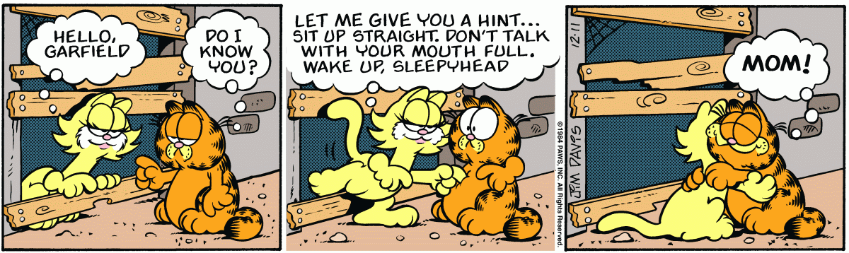 Garfield, December 11, 1984