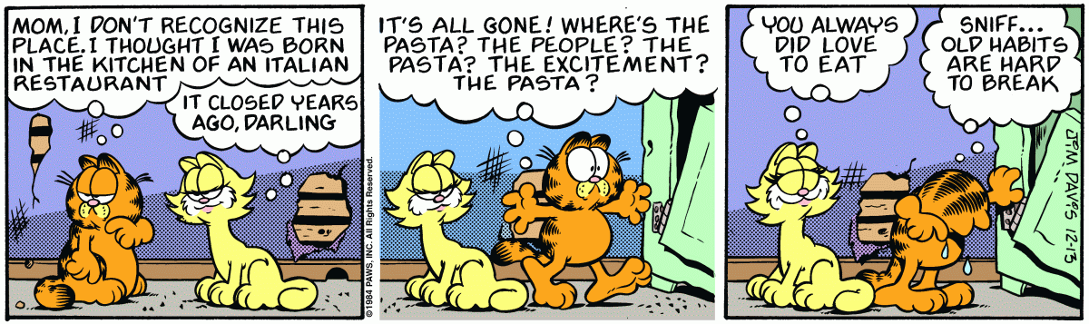 Garfield, December 13, 1984
