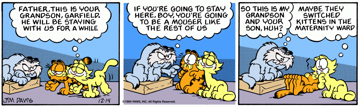 Garfield, December 14, 1984