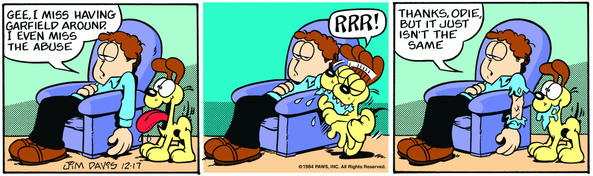 Garfield, December 17, 1984