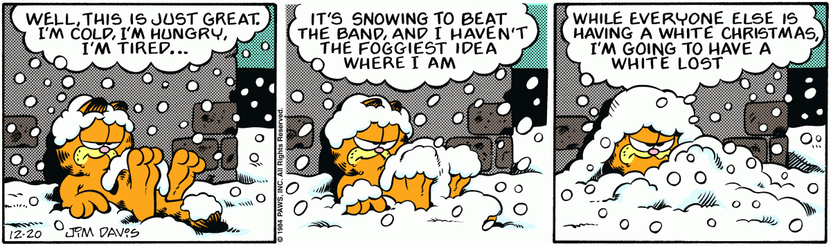 Garfield, December 20, 1984
