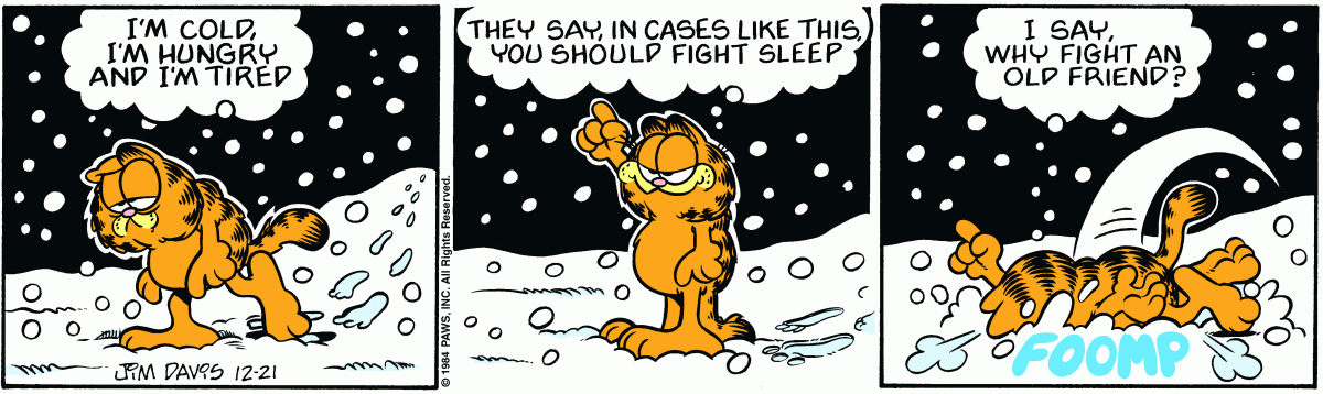 Garfield, December 21, 1984