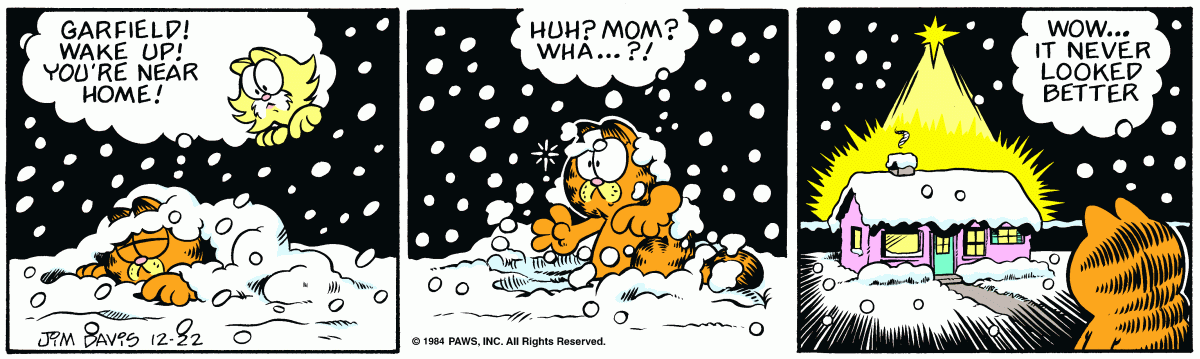 Garfield, December 22, 1984