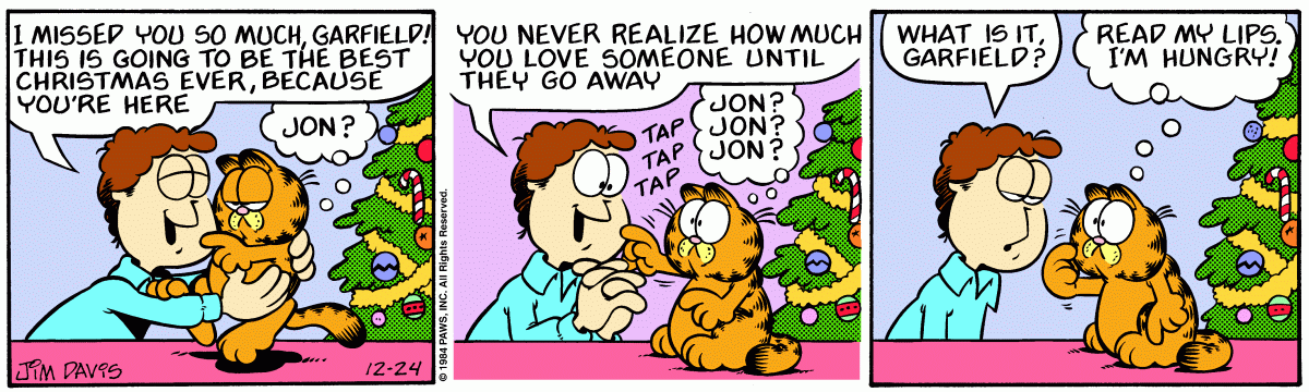 Garfield, December 24, 1984