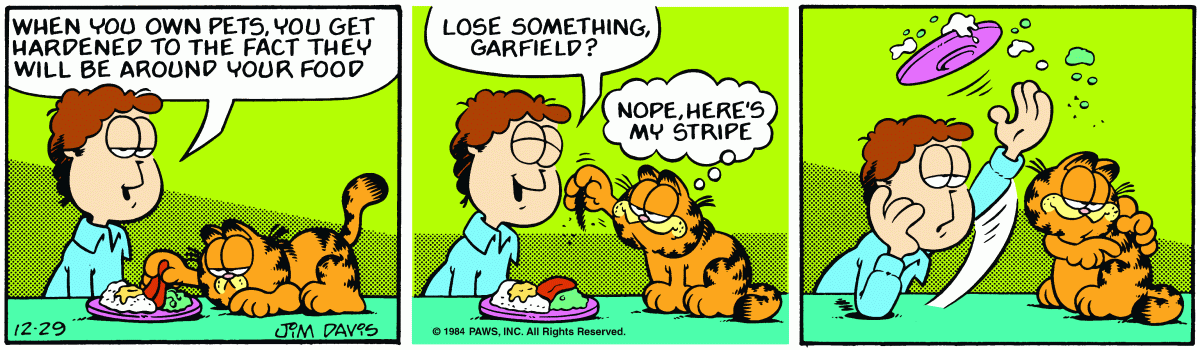 Garfield, December 29, 1984