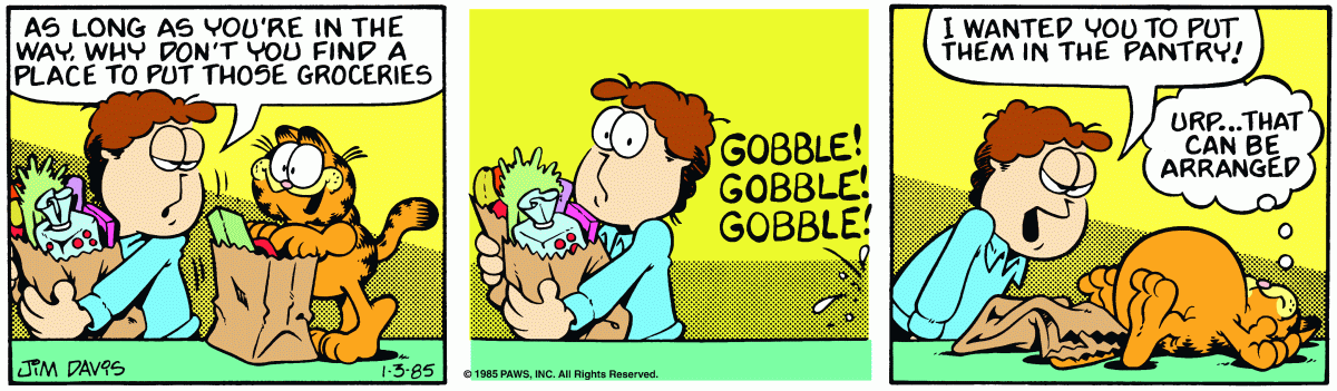 Garfield, January 3, 1985