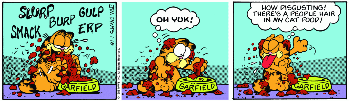 Garfield, January 16, 1985