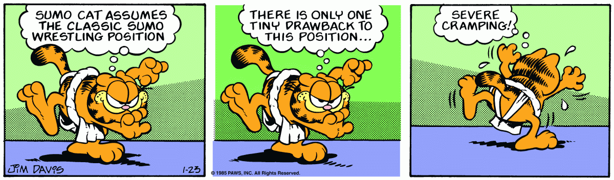Garfield, January 23, 1985