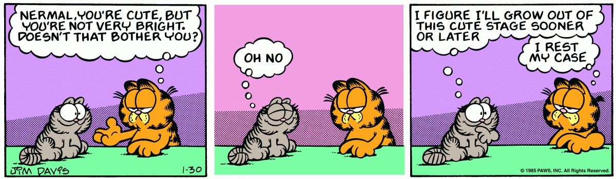 Garfield, January 30, 1985