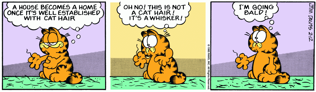 Garfield, February 12, 1985