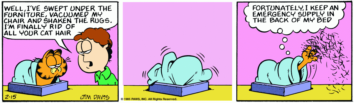 Garfield, February 15, 1985