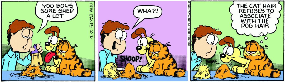 Garfield, February 16, 1985