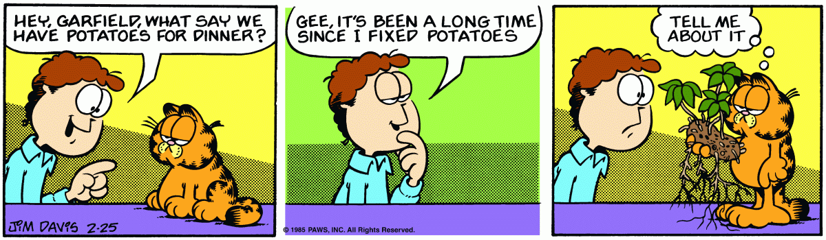 Garfield, February 25, 1985