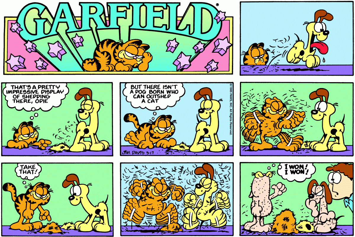 Garfield, March 17, 1985