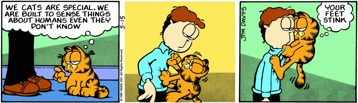 Garfield comic strip for Wednesday, May 15, 1985
