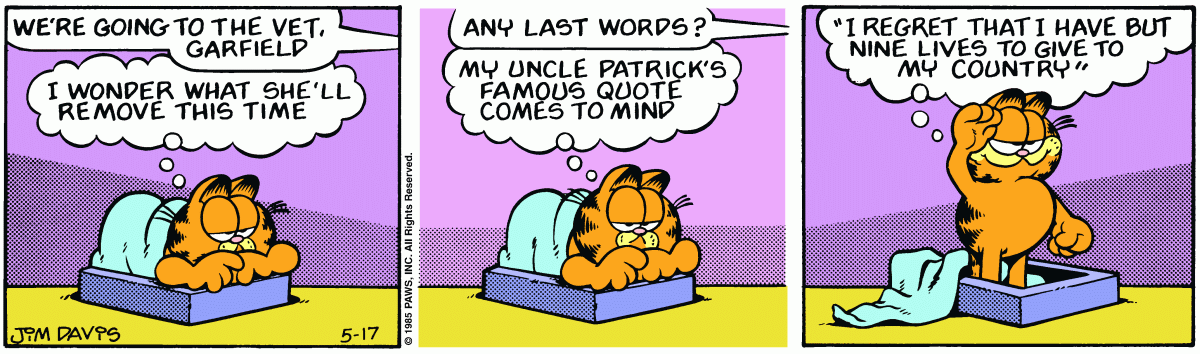 Garfield comic strip for Friday, May 17, 1985
