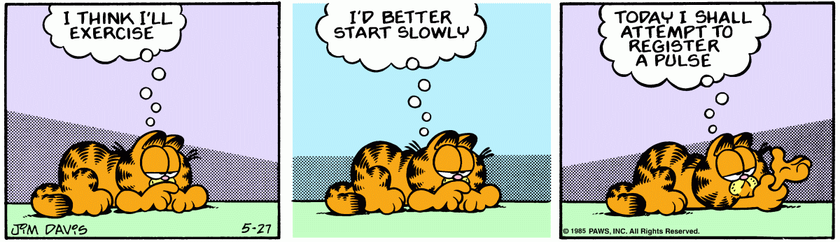 Garfield comic strip for Monday, May 27, 1985