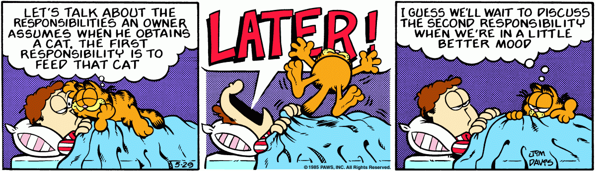 Garfield, May 29, 1985