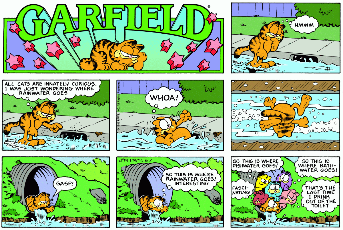 Garfield, June 2, 1985
