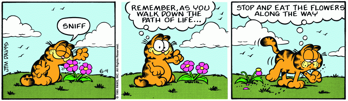 Garfield, June 4, 1985