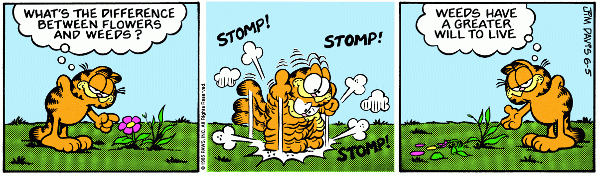 Garfield, June 5, 1985