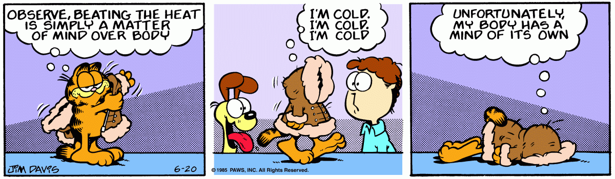 Garfield, June 20, 1985
