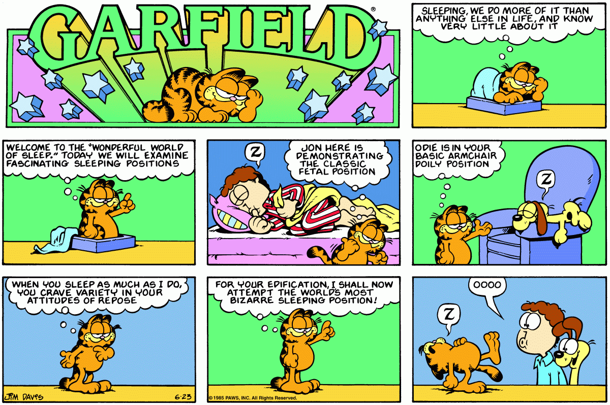 Garfield, June 23, 1985