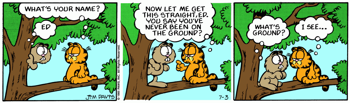 Garfield, July 3, 1985