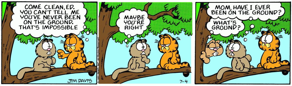 Garfield, July 4, 1985