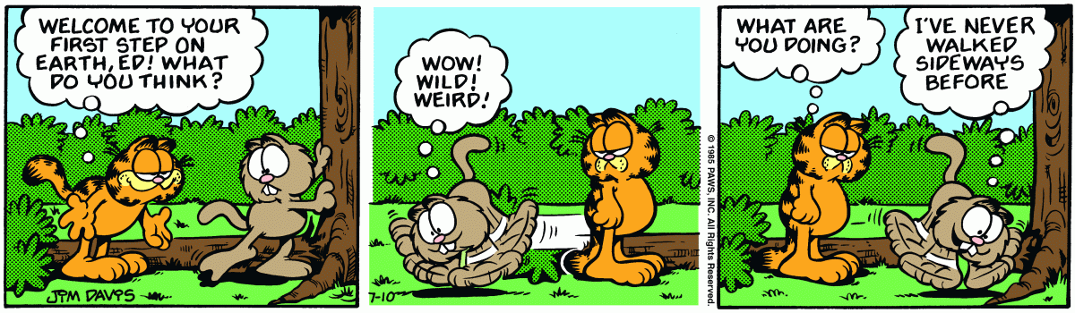 Garfield, July 10, 1985