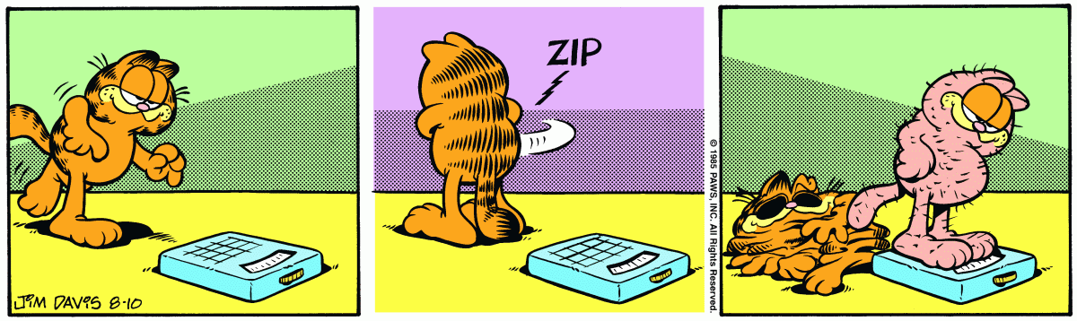 Garfield, August 10, 1985