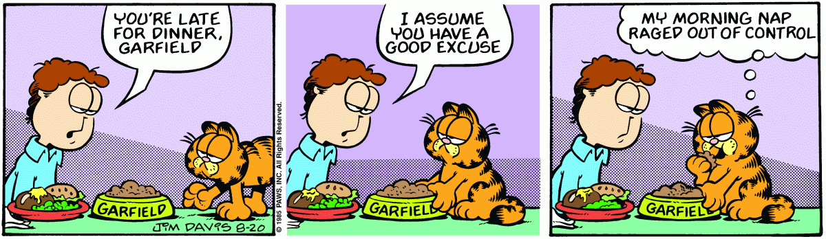 Garfield, August 20, 1985