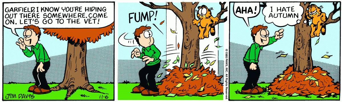 Garfield, November 6, 1985