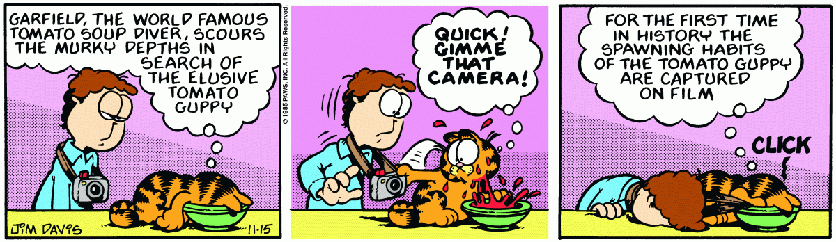 Garfield, November 15, 1985