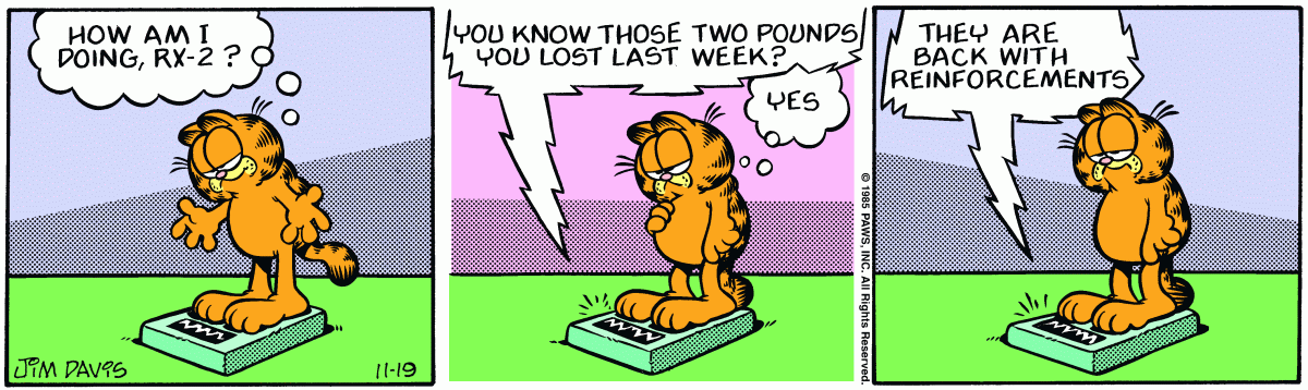 Garfield, November 19, 1985