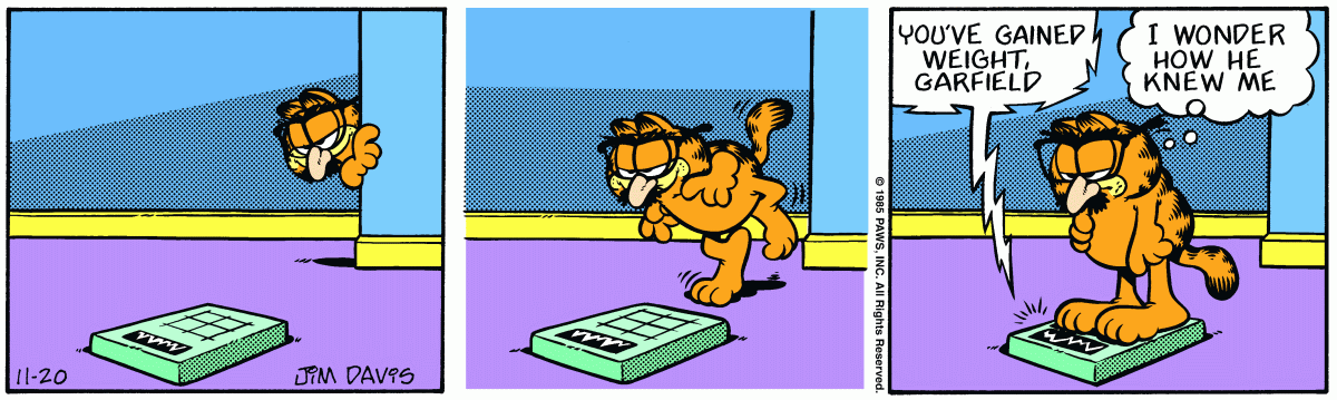 Garfield, November 20, 1985