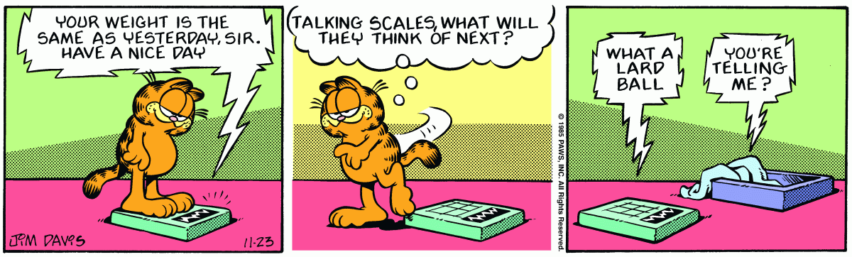 Garfield, November 23, 1985