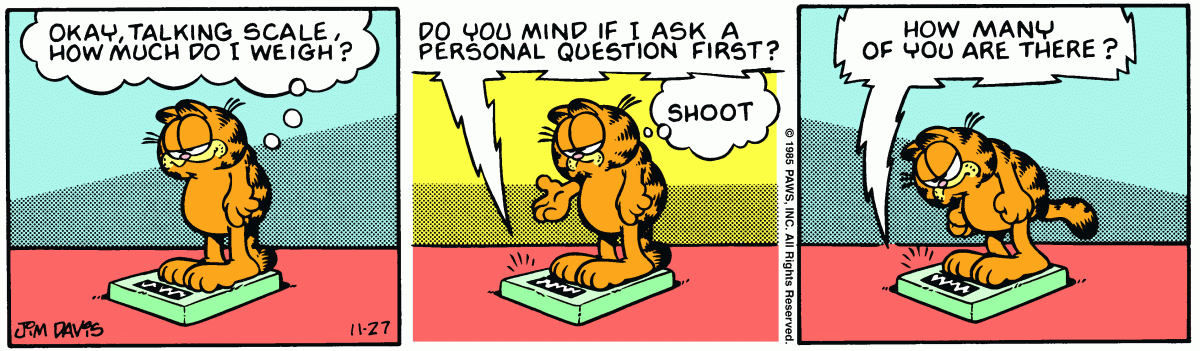 Garfield, November 27, 1985