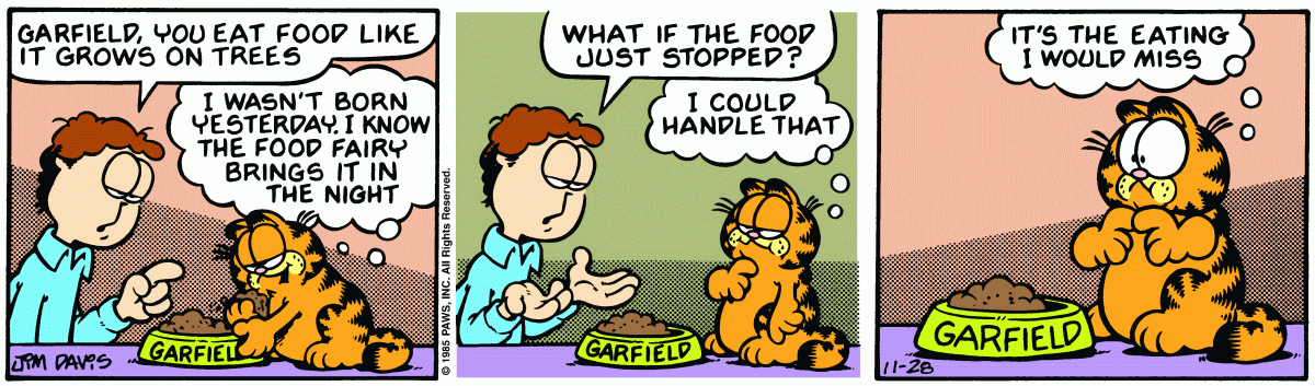 Garfield, November 28, 1985