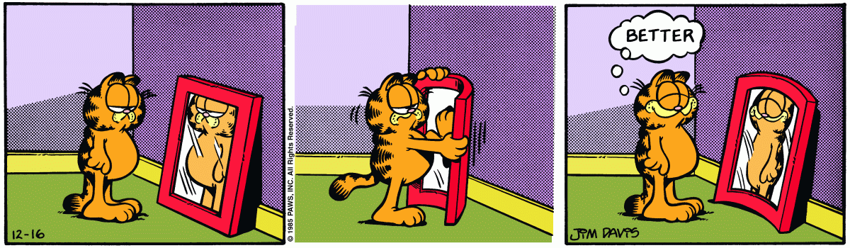 Garfield, December 16, 1985