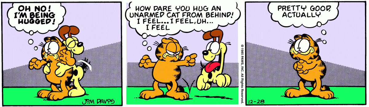 Garfield, December 28, 1985