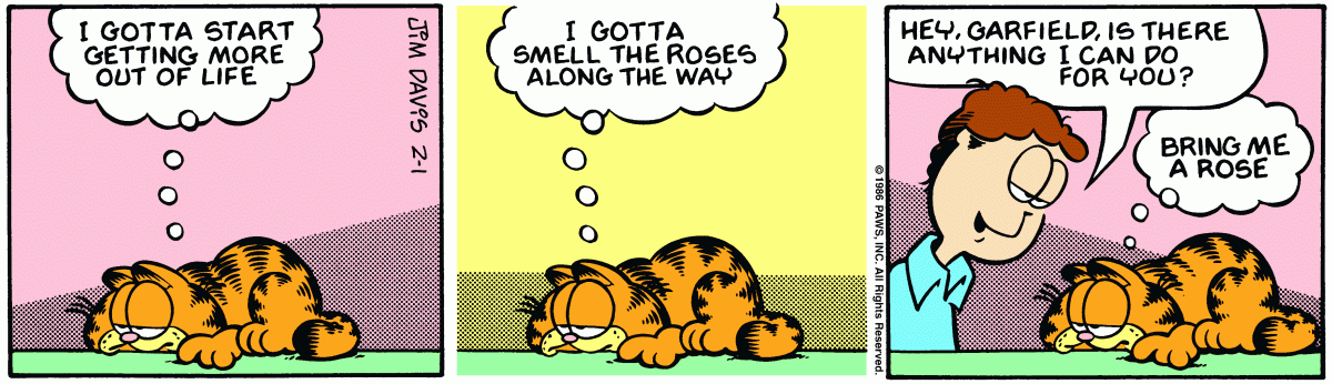Garfield, February 1, 1986