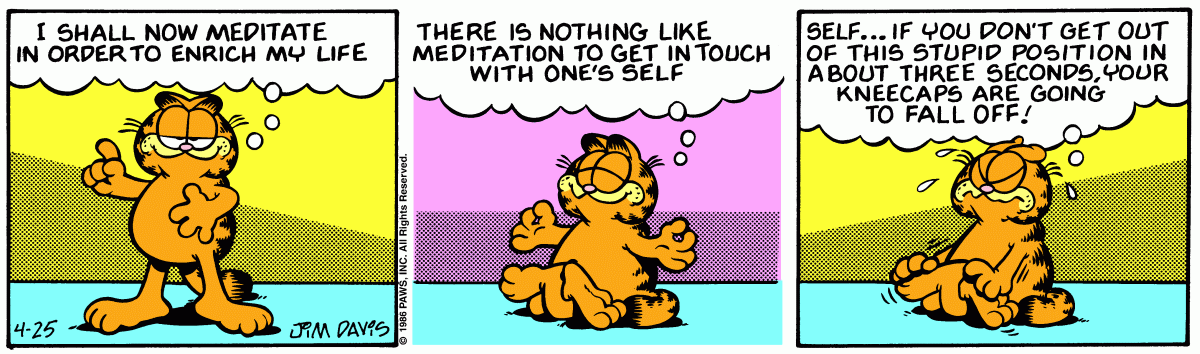 Garfield, April 25, 1986