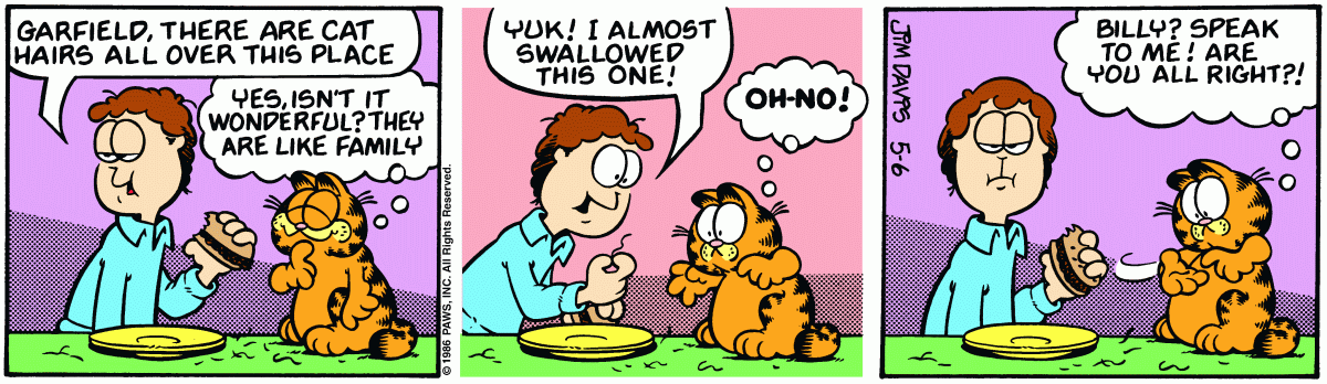 Garfield, May 6, 1986