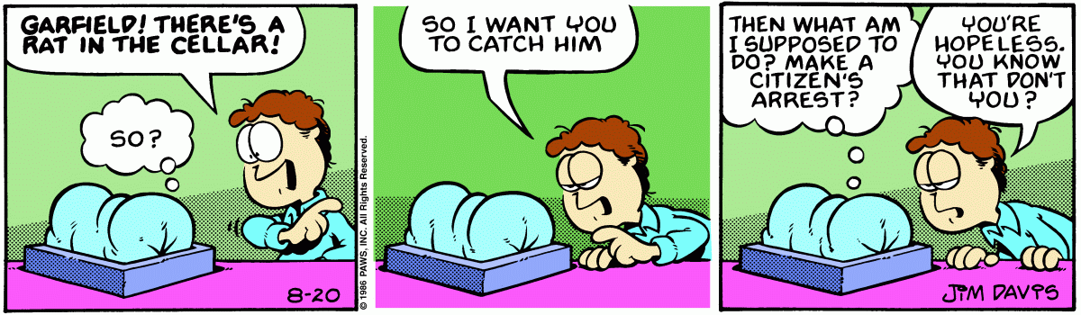 Garfield, August 20, 1986